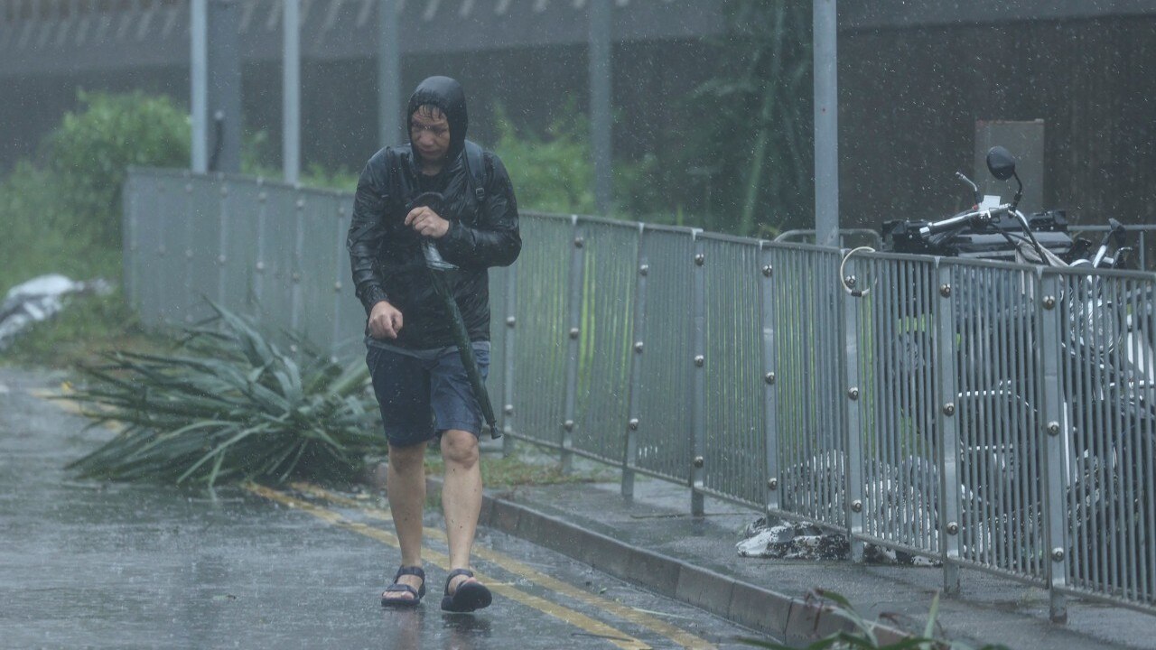 Typhoon Wipha Updates: