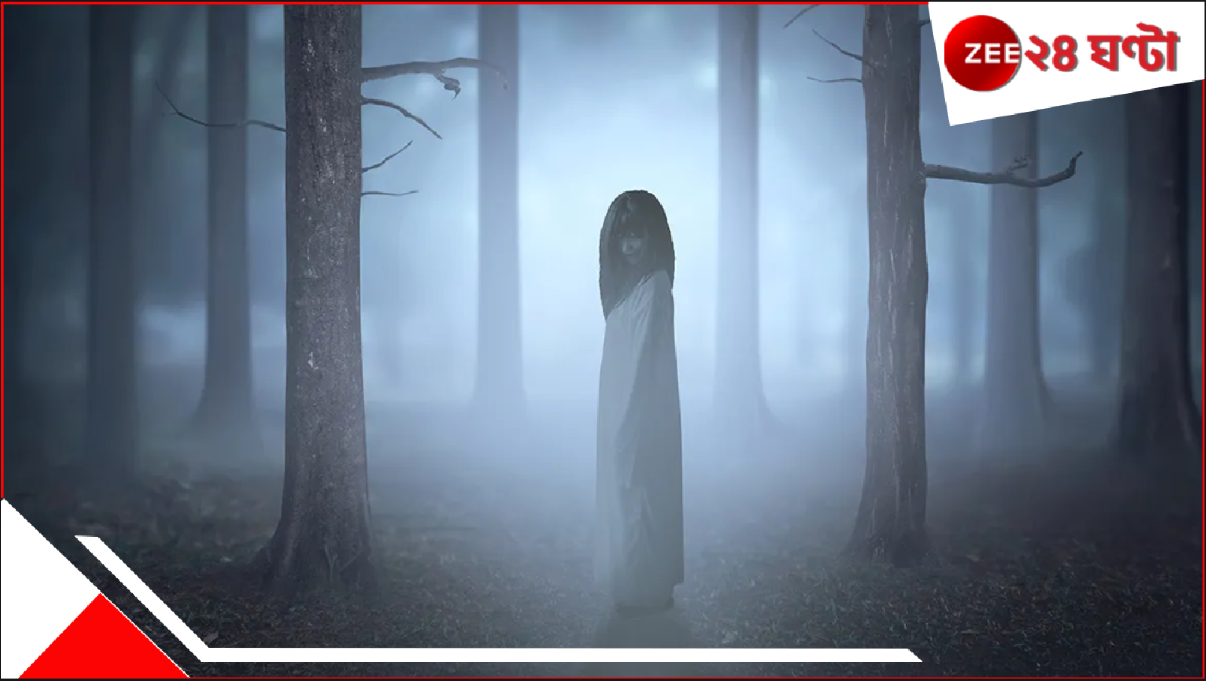 Ghost in Hooghly: বছরপাঁচেক আগে ঘটেছিল অপমৃত্যু, তার অশরীরী আত্মা ঘুরে বেড়াচ্ছে! এলাকায় কী ঘটাচ্ছে জানেন? হাড়হিম... Ghost in Hooghly: বছরপাঁচেক আগে ঘটেছিল অপমৃত্যু, তার অশরীরী আত্মা ঘুরে বেড়াচ্ছে! এলাকায় কী ঘটাচ্ছে জানেন? হাড়হিম...