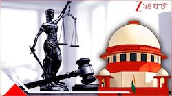 বারোর মেয়ে বাবার সঙ্গে থাকতে, চাইছে ১ কোটি! আপনি মানুষ? কাস্টডি কেসে সুপ্রিম তোপে মা