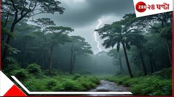 ধেয়ে আসছে প্রবল বৃষ্টি! ক্লাউডবার্স্ট? জেলায় জেলায় জারি কমলা সতর্কতা! কোন কোন জ