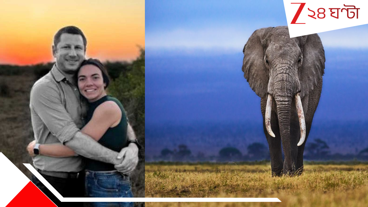 South Africa Billionaire CEO death by Elephant: কোটিপতি CEO-কে আফ্রিকার ক্যাম্পে পিষে মেরে দিল শখে পোষা হাতিই... South Africa Billionaire CEO death by Elephant: কোটিপতি CEO-কে আফ্রিকার ক্যাম্পে পিষে মেরে দিল শখে পোষা হাতিই...