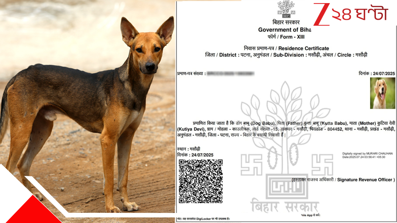 Dog Gets Redential Certificate: তাজ্জব! বাবার নাম কুত্তাবাবু, মা কুতিয়া দেবী, কুকুরের নামে গুরুত্বপূর্ণ সার্টিফিকেট... Dog Gets Redential Certificate: তাজ্জব! বাবার নাম কুত্তাবাবু, মা কুতিয়া দেবী, কুকুরের নামে গুরুত্বপূর্ণ সার্টিফিকেট...