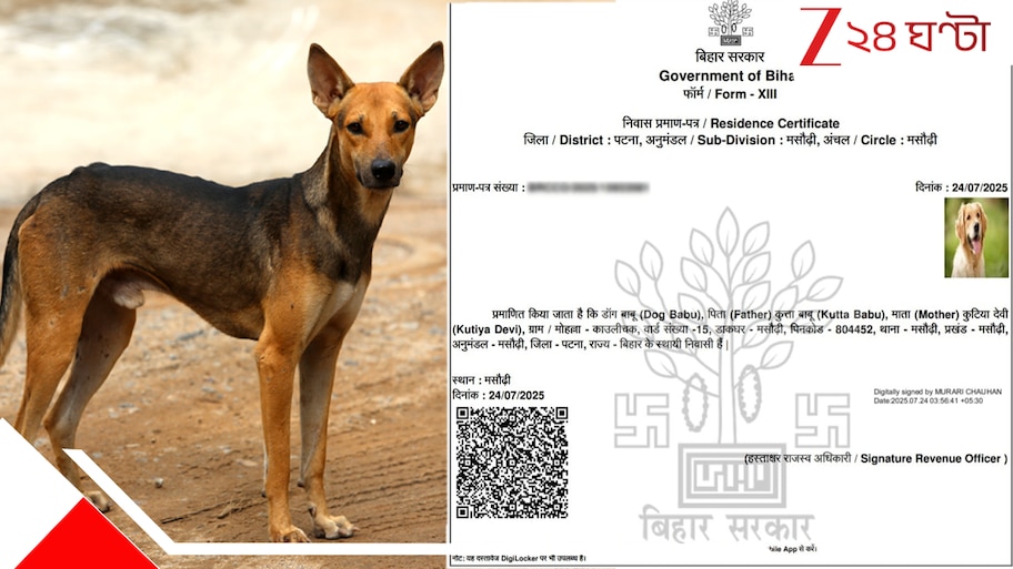 Dog Gets Redential Certificate: তাজ্জব! বাবার নাম কুত্তাবাবু, মা কুতিয়া দেবী, কুকুরের নামে গুরুত্বপূর্ণ সার্টিফিকেট...
