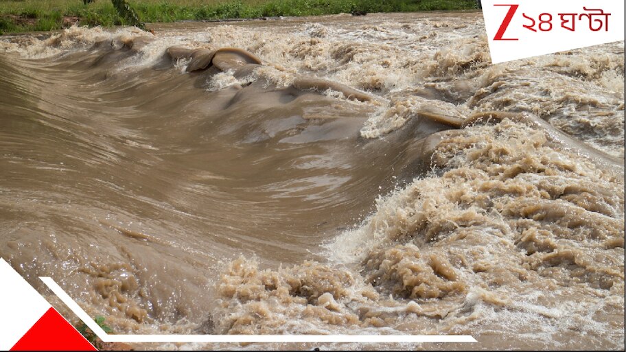 Deadly Cloudburst and Flash Flood: ভয়াবহ! ভয়ংকর মেঘভাঙা বৃষ্টিতে আকস্মিক প্রাণঘাতী বন্যা! ধুয়ে গেল সমস্ত এলাকা, ভেসে গেল...