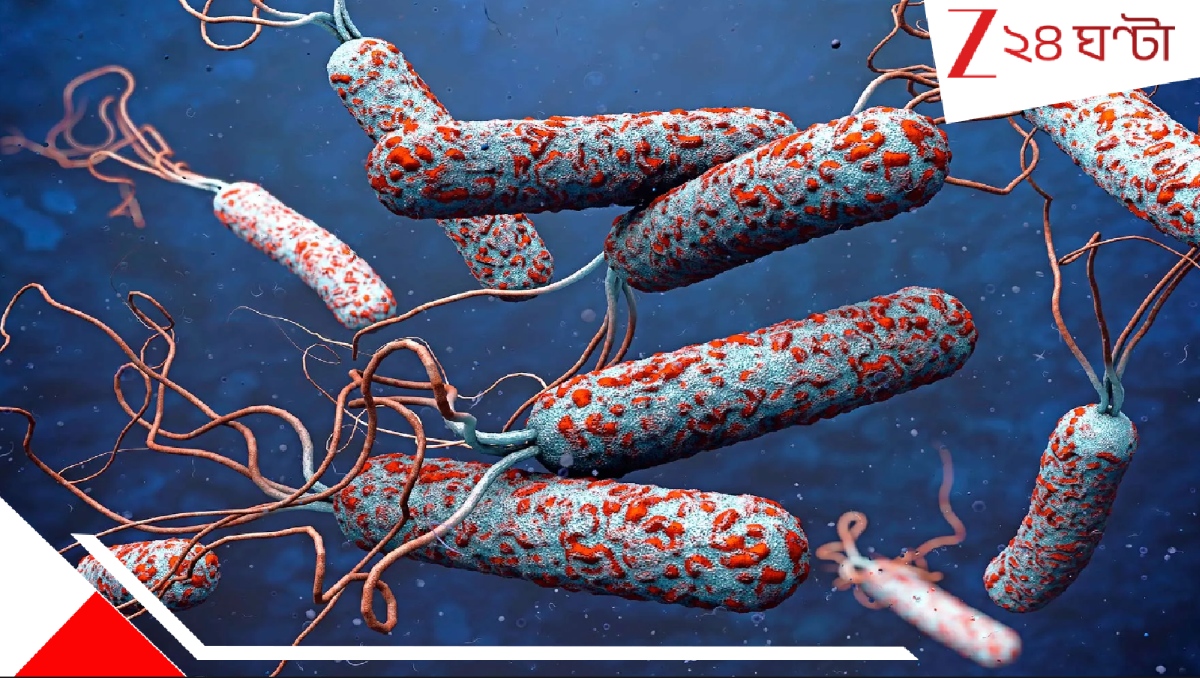 Deadly Cholera: ভয়ানক! আক্রান্ত শতাধিক! বমি ও পেটের যন্ত্রণা নিয়ে হাসপাতালে ভর্তি অসংখ্য গ্রামবাসী...কী হল? Deadly Cholera: ভয়ানক! আক্রান্ত শতাধিক! বমি ও পেটের যন্ত্রণা নিয়ে হাসপাতালে ভর্তি অসংখ্য গ্রামবাসী...কী হল?