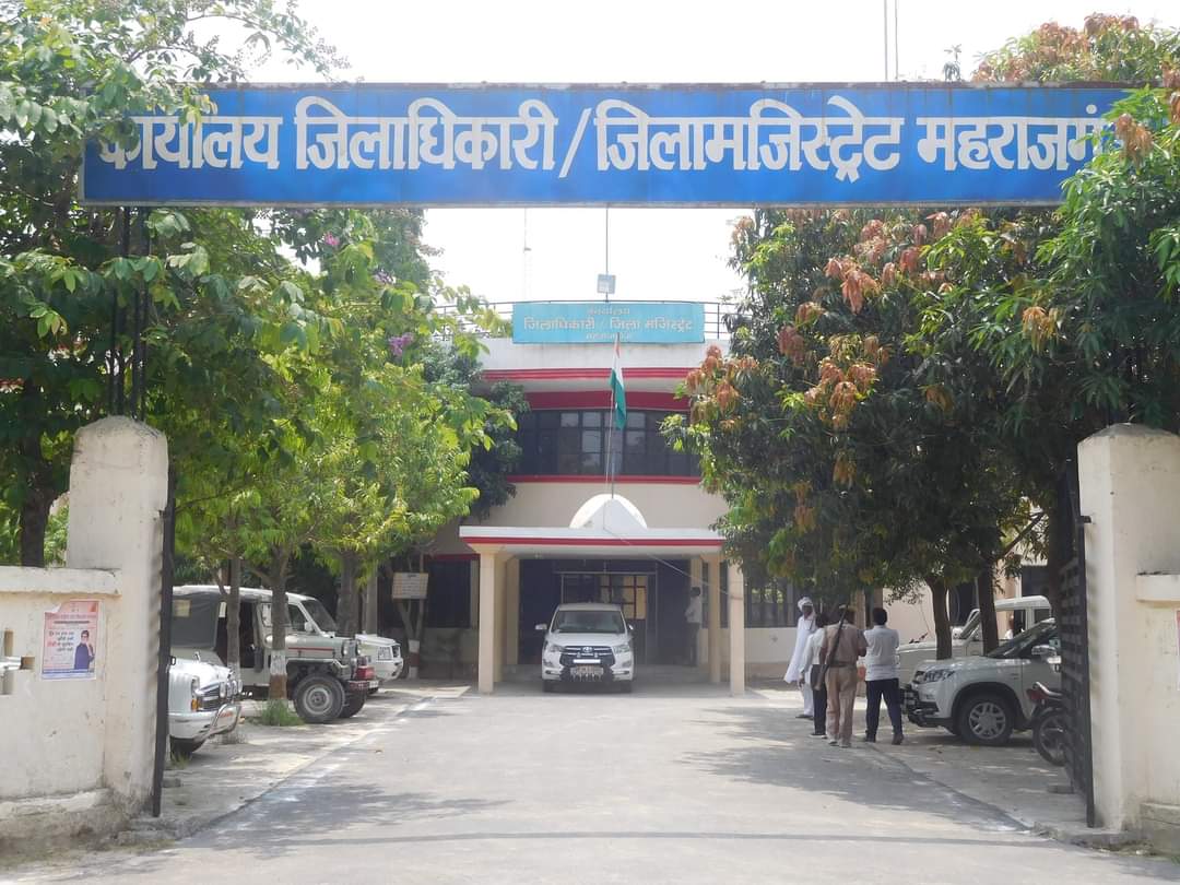 Adult Movie Played During Zoom Meeting: