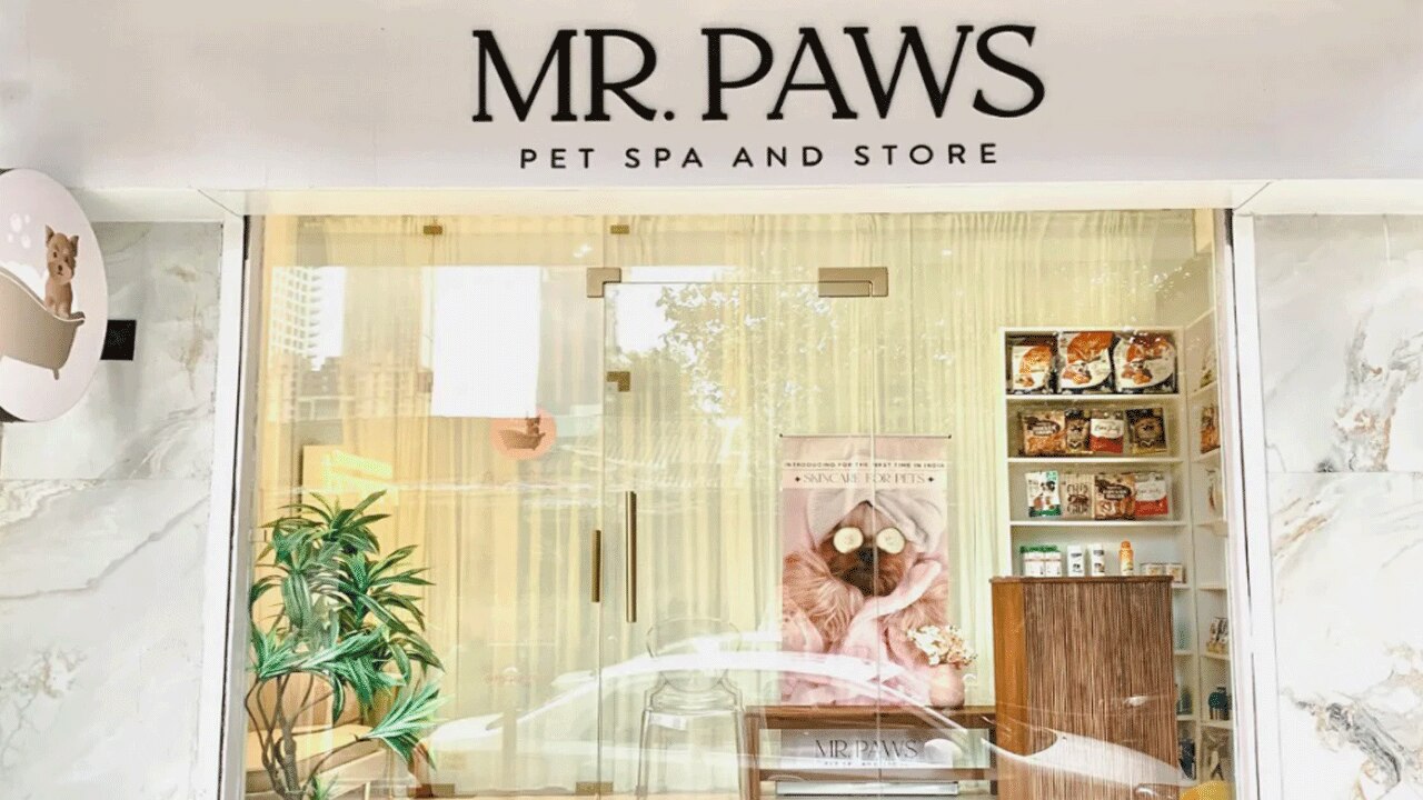 Mr. Paws Pet Spa