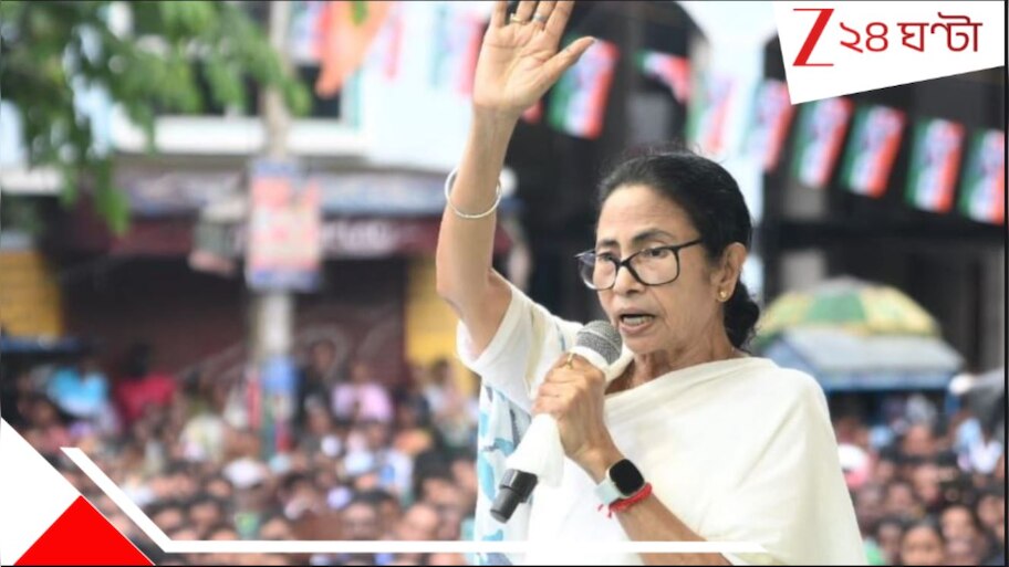 SIR Controversy: রবিরারও তত্‍পর কমিশন!  'বুঝতে পেরেছে যে, বাংলা কী করতে পারে', বলছে তৃণমূল...