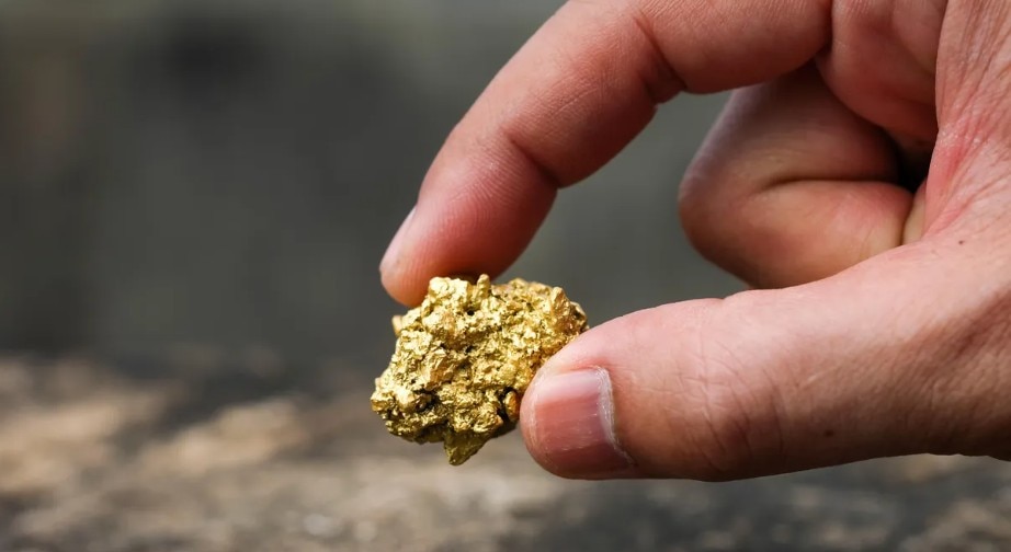 Gold Mine Reserve Odisha