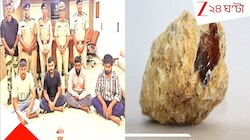 সাগরের সোনা! ৮ কোটি টাকার 'তিমির বমি' পাচার করতে গিয়ে পাকড়াও... ১ কেজির দামই...