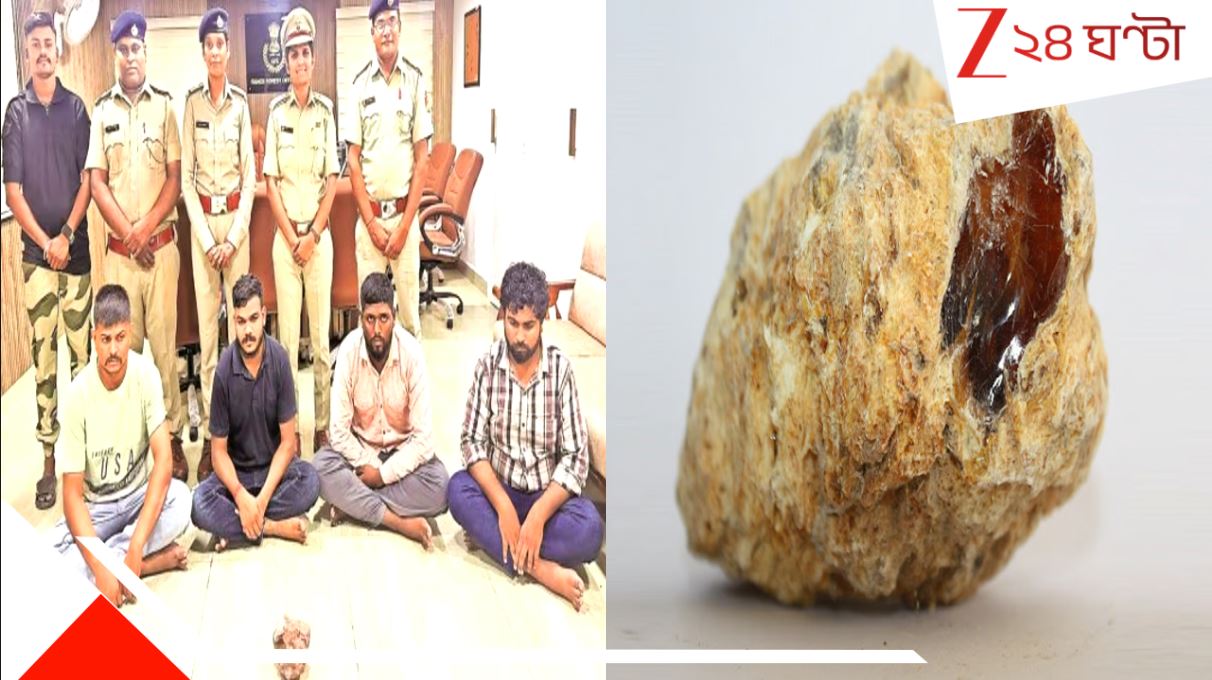 Ambergris Seized of 8 crore: সাগরের সোনা! ৮ কোটি টাকার 'তিমির বমি' পাচার করতে গিয়ে পাকড়াও... ১ কেজির দামই... Ambergris Seized of 8 crore: সাগরের সোনা! ৮ কোটি টাকার 'তিমির বমি' পাচার করতে গিয়ে পাকড়াও... ১ কেজির দামই...