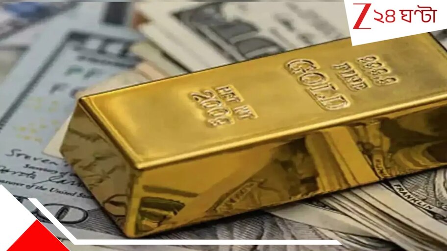Bank Dacoity: শাটার নামিয়ে চাকদহের ব্যাংকে ভয়াবহ ডাকাতি! ঋণগ্রহীতাদের বন্ধকি সব সোনা লুট...