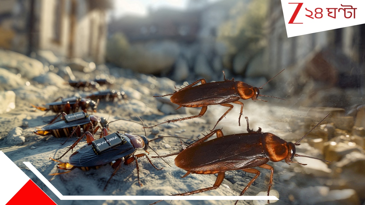 Spy cockroaches: আপনার ঘরের মেঝেতে শত্রুপক্ষের ভয়ংকর এক আরশোলা ঘুরছে না তো? ওরা কিন্তু সমূলে ধ্বংস করে দিতে পারে…সাবধান!!