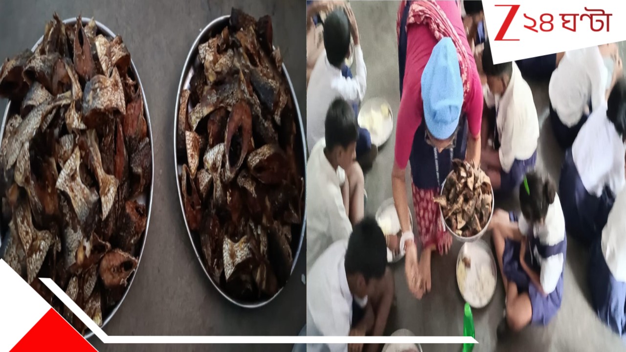 Hilsha Festival: অবৈতনিক প্রাথমিক স্কুলে ইলিশ উৎসব! ইলিশ ভাপা-ভাজা চেটেপুটে খেল পড়ুয়ারা... Hilsha Festival: অবৈতনিক প্রাথমিক স্কুলে ইলিশ উৎসব! ইলিশ ভাপা-ভাজা চেটেপুটে খেল পড়ুয়ারা...