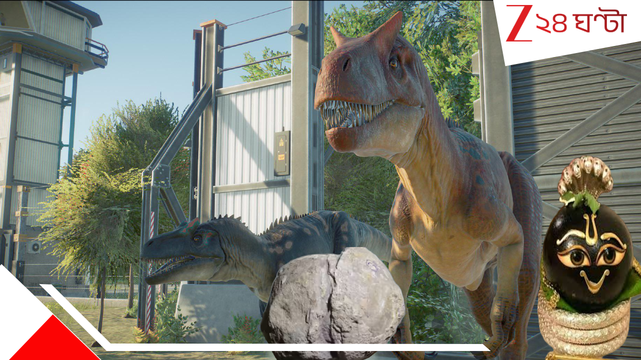 Dinosaur Eggs or Shaligrama: অবিশ্বাস্য! ৭০০০০০০ বছরের পুরনো ডাইনোসরের ডিম পূজিত হচ্ছিলেন 'নারায়ণ' হিসেবে? অ্যাঁ! সে কী? Dinosaur Eggs or Shaligrama: অবিশ্বাস্য! ৭০০০০০০ বছরের পুরনো ডাইনোসরের ডিম পূজিত হচ্ছিলেন 'নারায়ণ' হিসেবে? অ্যাঁ! সে কী?