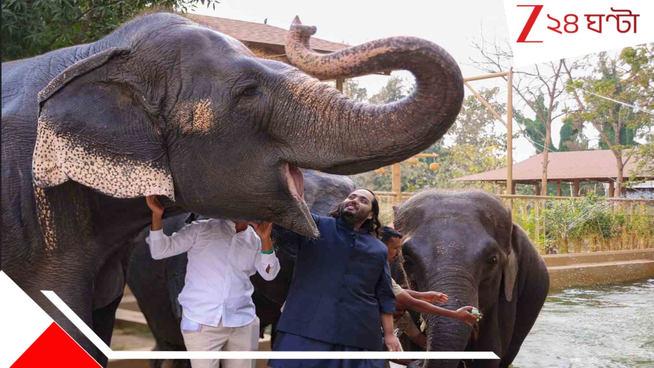 SIT against Anant Ambani's Vantara: বিপাকে মুকেশ-নীতা, ছেলে অনন্তের 'বনতারা'য় তদন্ত চালাবে SIT, কড়া 'সুপ্রিম' নির্দেশ... SIT against Anant Ambani's Vantara: বিপাকে মুকেশ-নীতা, ছেলে অনন্তের 'বনতারা'য় তদন্ত চালাবে SIT, কড়া 'সুপ্রিম' নির্দেশ...