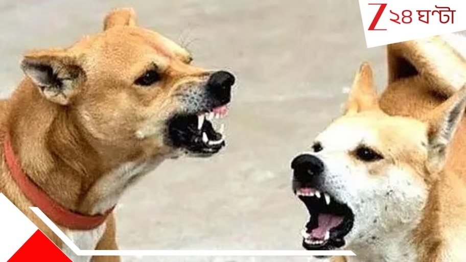 Stray dog attack: ৫ বছরের শিশুর উপর ঝাঁপিয়ে পড়ল কুকুর! আঁচড়ে, কা*মড়ে, খু*বলে... যাচ্ছিল বাবার সঙ্গে ঘুরতে, শেষে...