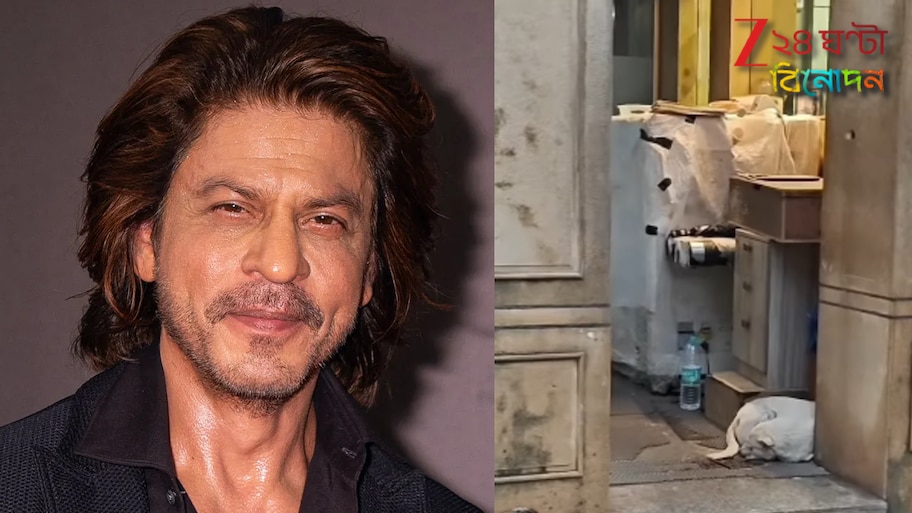 Shah Rukh Khan shlters stray dog: বাইরে অঝোরে বৃষ্টি, ২০০ কোটির মন্নতে নিশ্চিন্তে ঘুমোচ্ছে এক পথকুকুর! শাহরুখের প্রশংসায় নেটপাড়া...