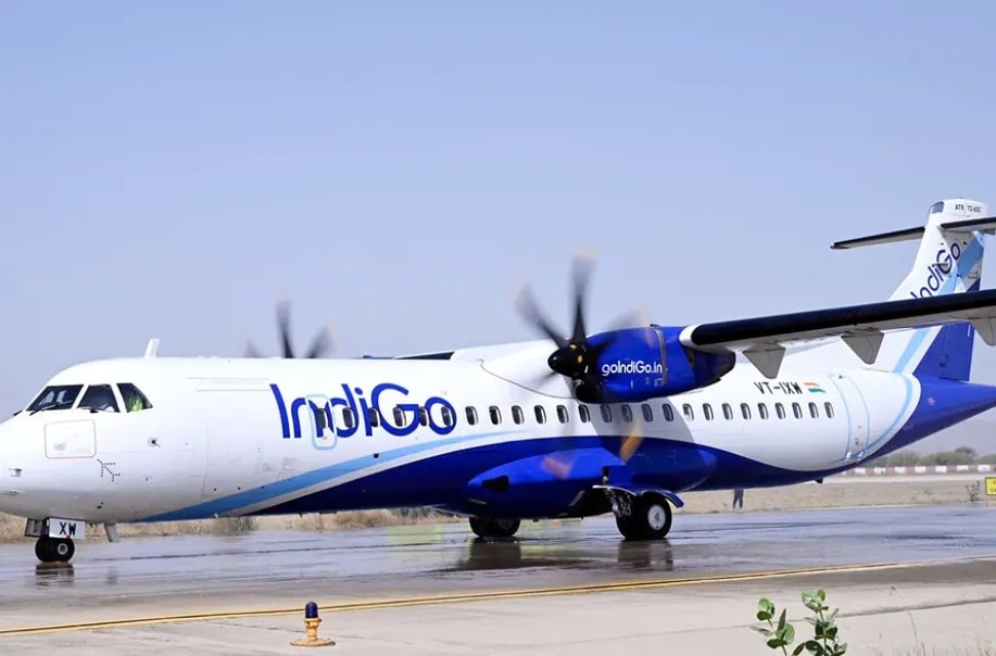 IndiGo flight bird hit emergency landing
