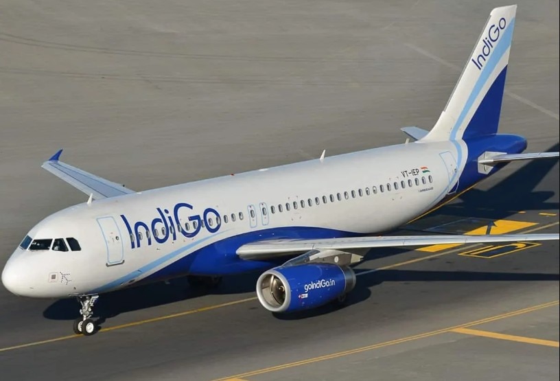 IndiGo flight bird hit emergency landing