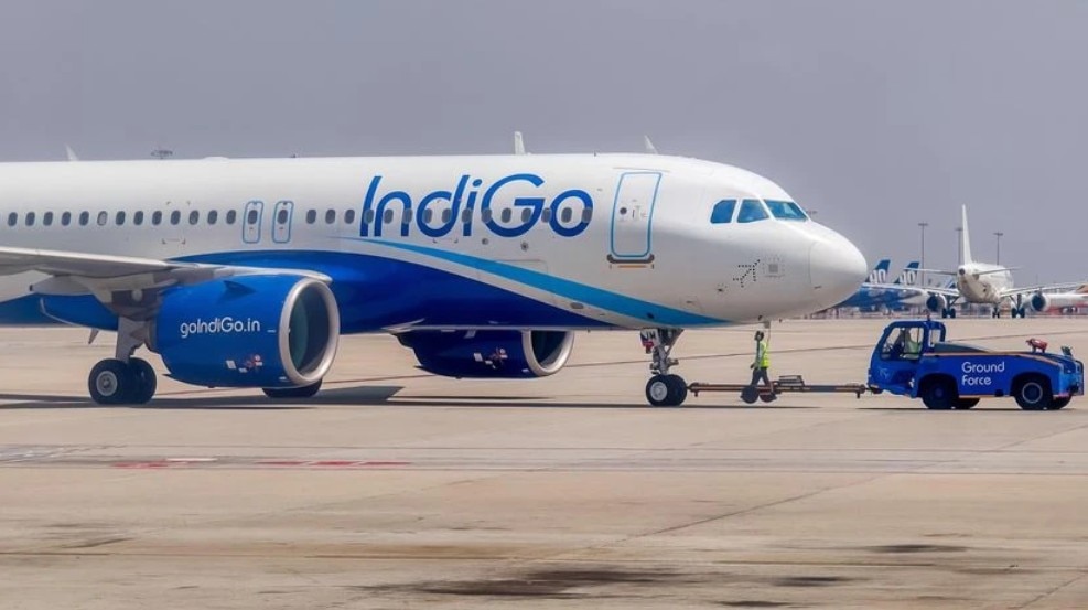 IndiGo flight bird hit emergency landing
