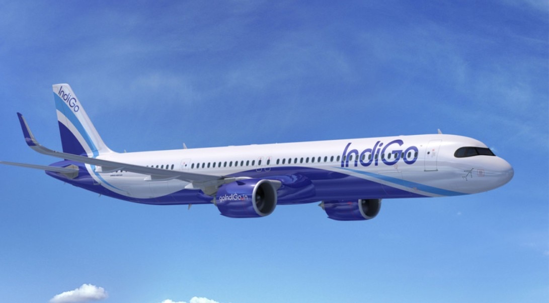 IndiGo flight bird hit emergency landing