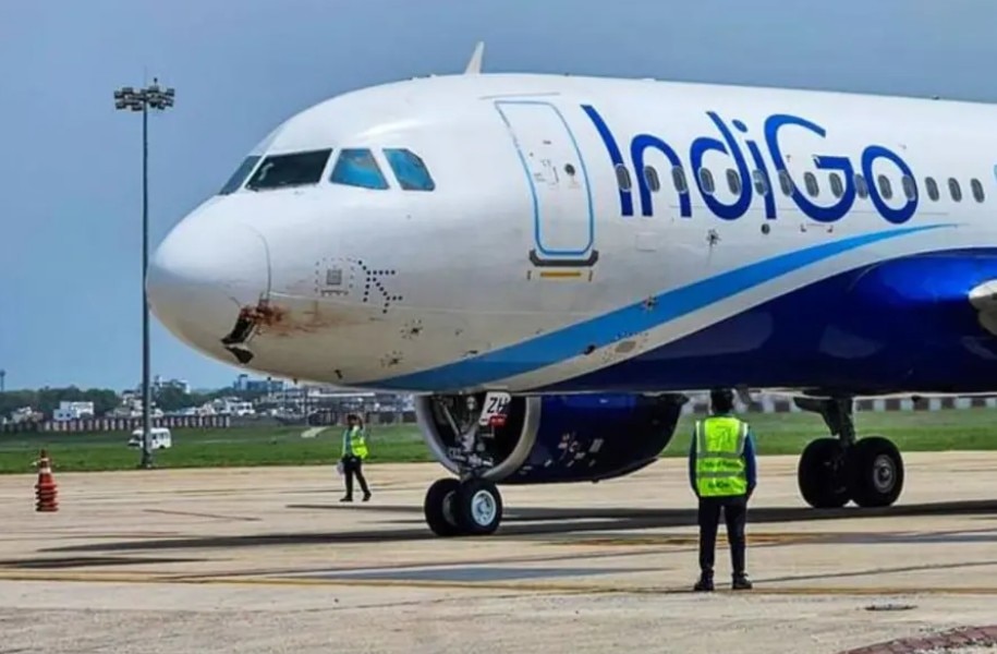 IndiGo flight bird hit emergency landing