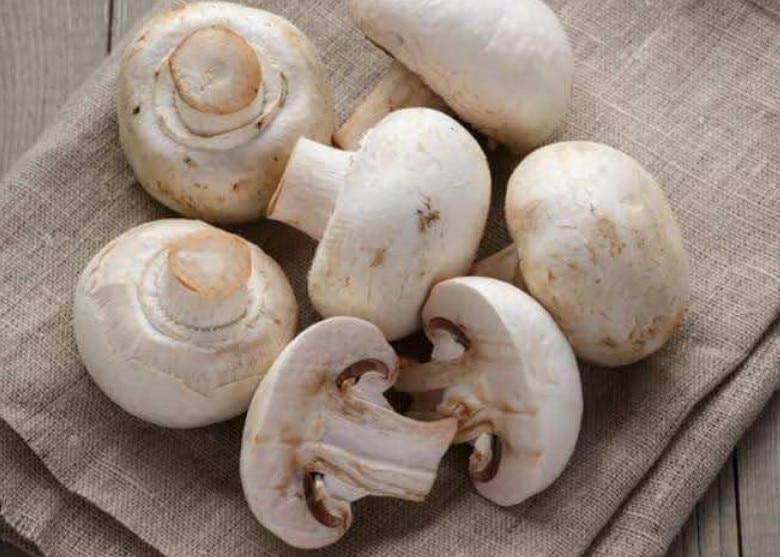  Father daughter died eating deadly mushrooms