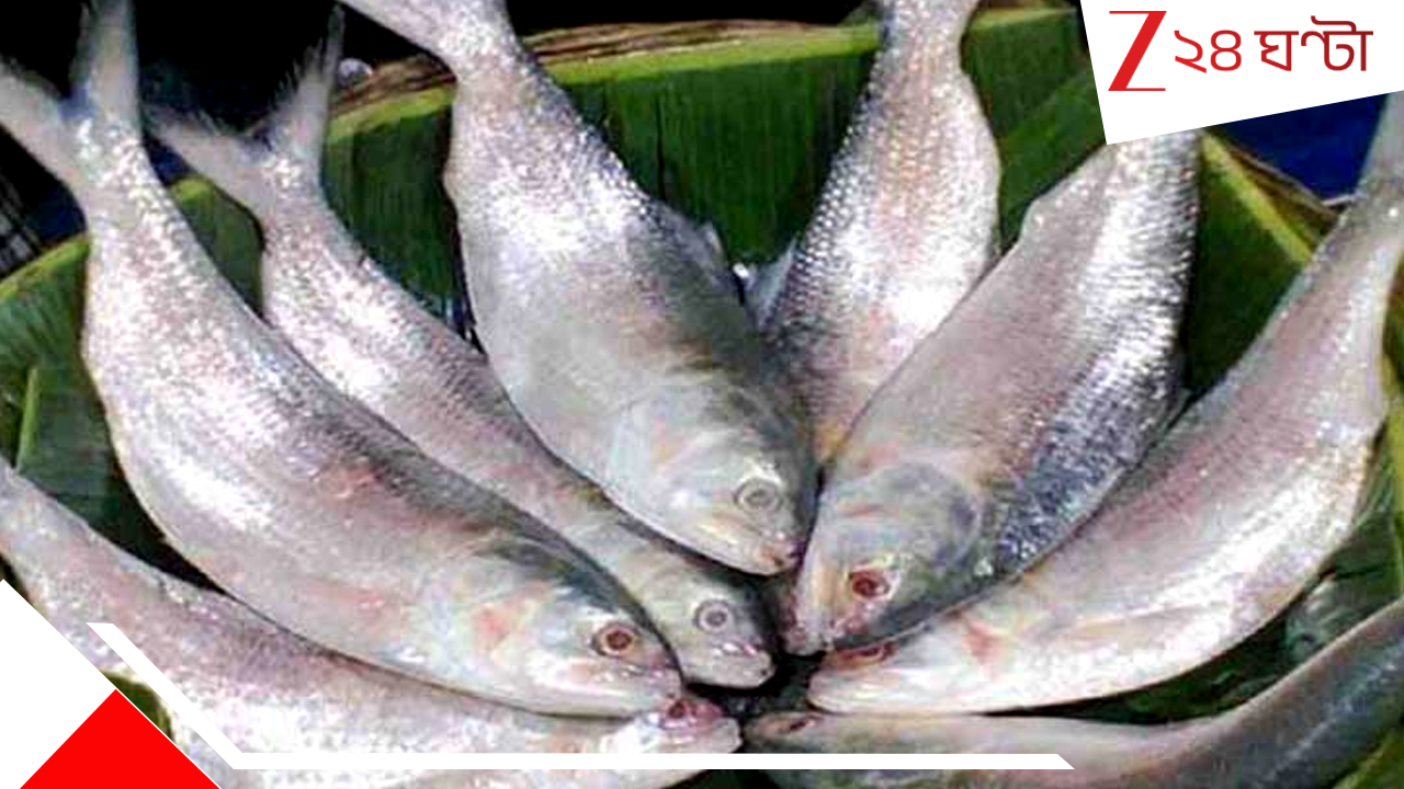 Bangladeshi Hilsa: ইলিশ কূটনীতি! পুজোয় কলকাতাকে খাওয়াতে ১২,০০০০০ কেজি রুপোলি শস্য পাঠাচ্ছেন ইউনূস... Bangladeshi Hilsa: ইলিশ কূটনীতি! পুজোয় কলকাতাকে খাওয়াতে ১২,০০০০০ কেজি রুপোলি শস্য পাঠাচ্ছেন ইউনূস...