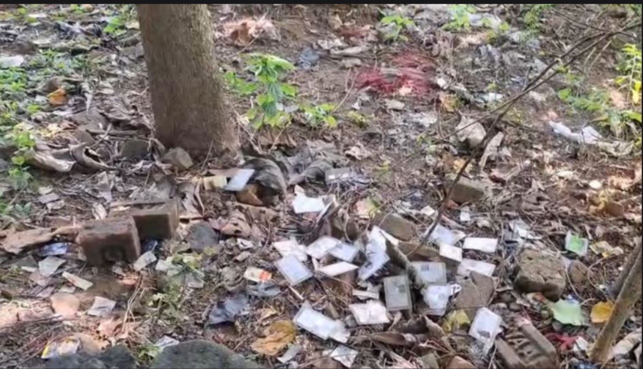 আর্বজনার স্তুপে  ভোটার কার্ড!