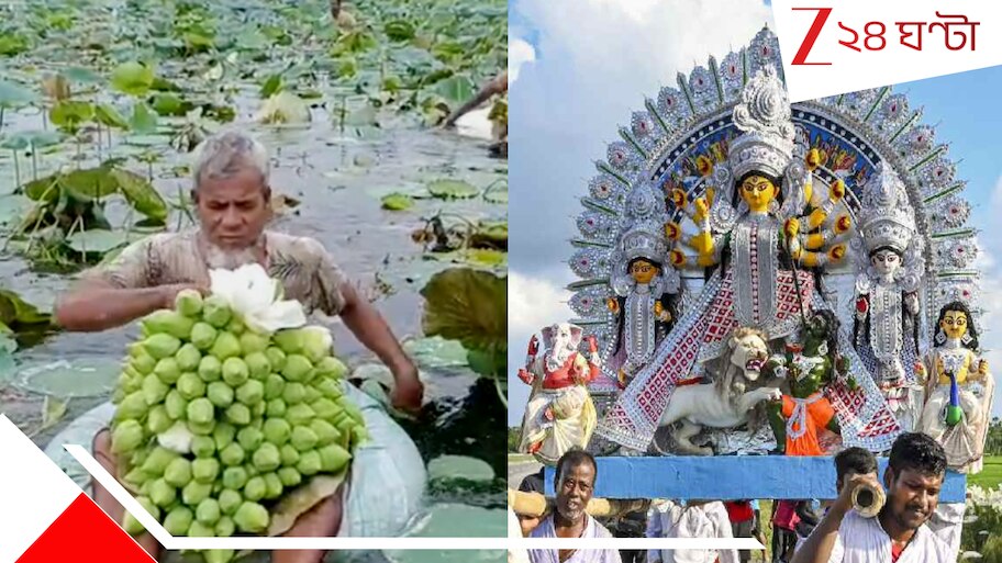 Durga Puja 2025: দুর্গাপুজোয় ১০৮ পদ্ম নিবেদনের প্রথা! ফুলের জোগান দিতে মাঝরাত থেকেই পুকুরে শেখ বাবর ও সঙ্গীরা...