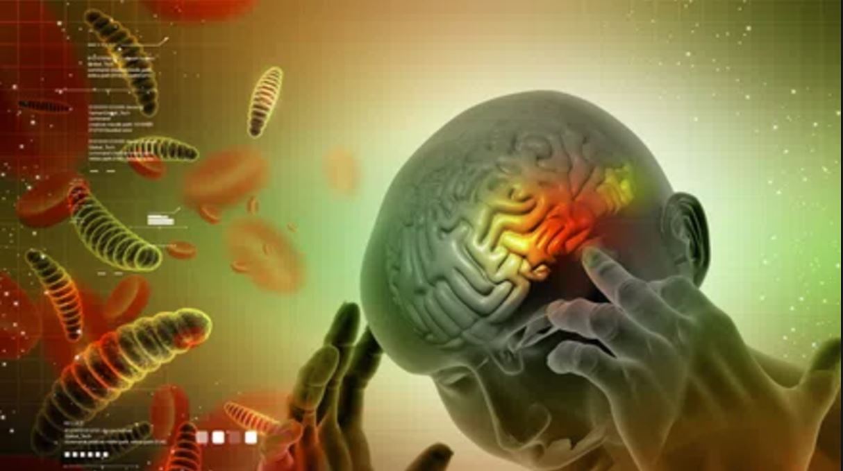 কী ভাবে ছড়ায়: