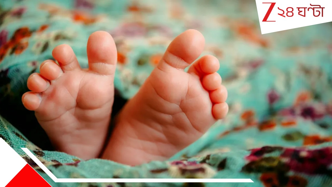 Child Death: সোফায় মৃত ৫ মাসের সন্তান! রঙিন পানীয়ে পার্টিতে মত্ত মা, হুঁশও নেই... Child Death: সোফায় মৃত ৫ মাসের সন্তান! রঙিন পানীয়ে পার্টিতে মত্ত মা, হুঁশও নেই...