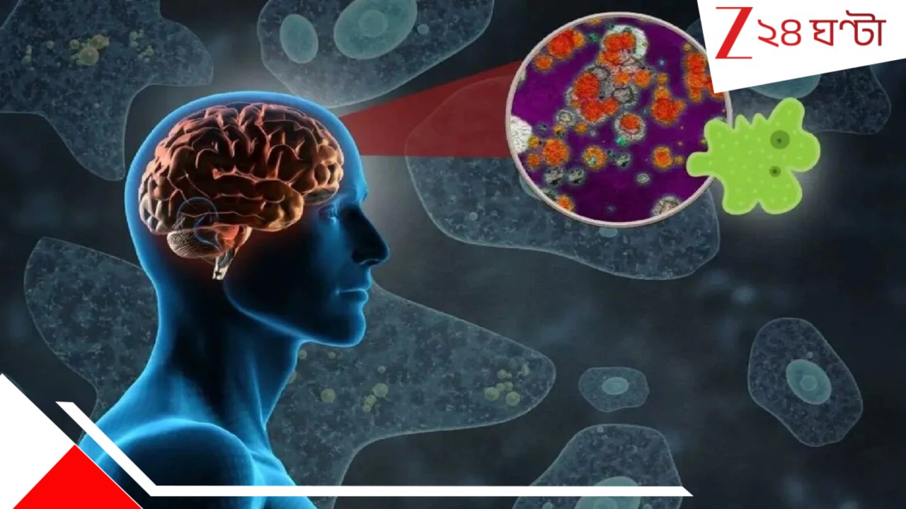 Brain Eating Amoeba: মারণ ব্রেন ইটিং অ্যামিবা কলকাতাতেও? অতীন ঘোষ স্পষ্ট জানালেন... Brain Eating Amoeba: মারণ ব্রেন ইটিং অ্যামিবা কলকাতাতেও? অতীন ঘোষ স্পষ্ট জানালেন...