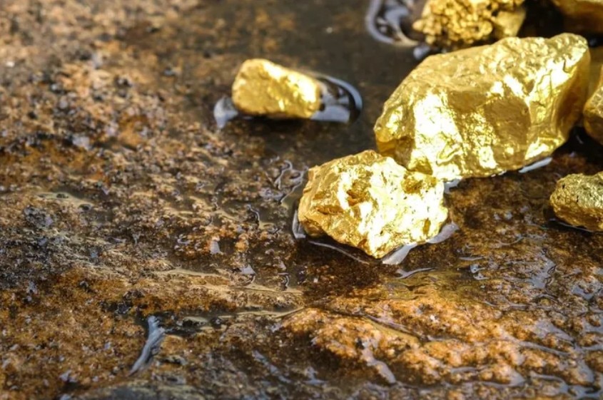 India's First Private Gold Mine