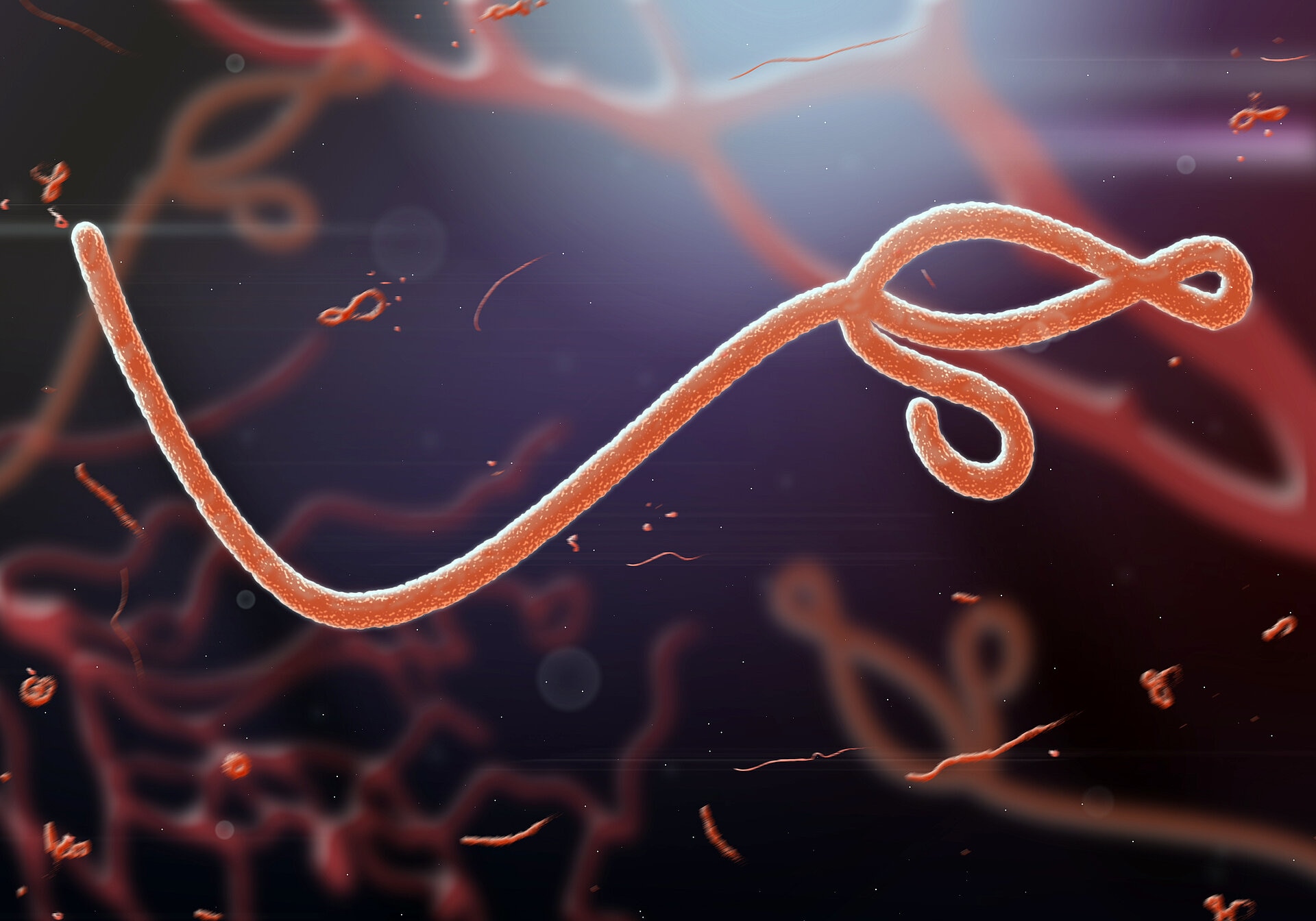 Ebola Outbreak, Pandemic Fear, Death rate 90 percent, Lockdown imposed