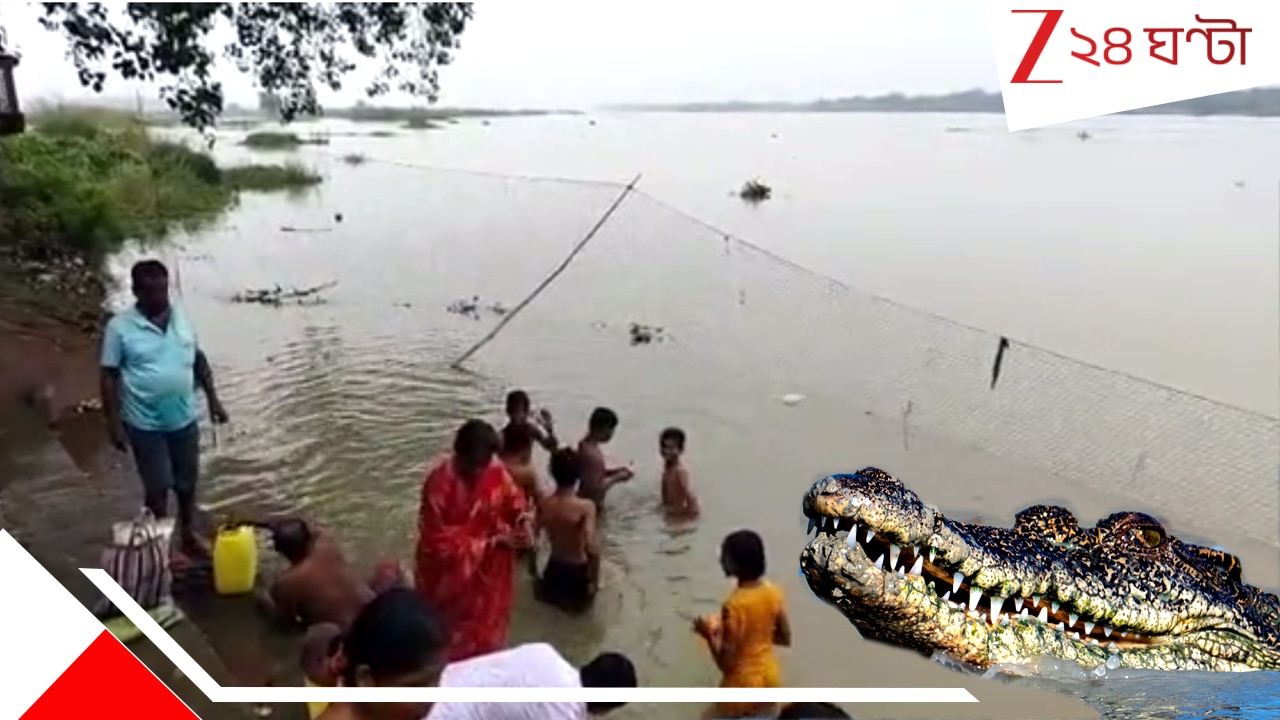 জলে ঘাপটি মেরে বসে কুমীর! মহালয়ায় তর্পণের কথা ভেবে আতঙ্কে কালনাবাসী People in Kalna scared of crocodile in river Ganga at Mahalaya Tarpan