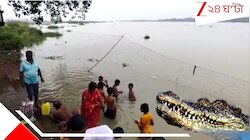 জলে ঘাপটি মেরে বসে কুমীর! মহালয়ায় তর্পণের কথা ভেবে আতঙ্কে কালনাবাসী