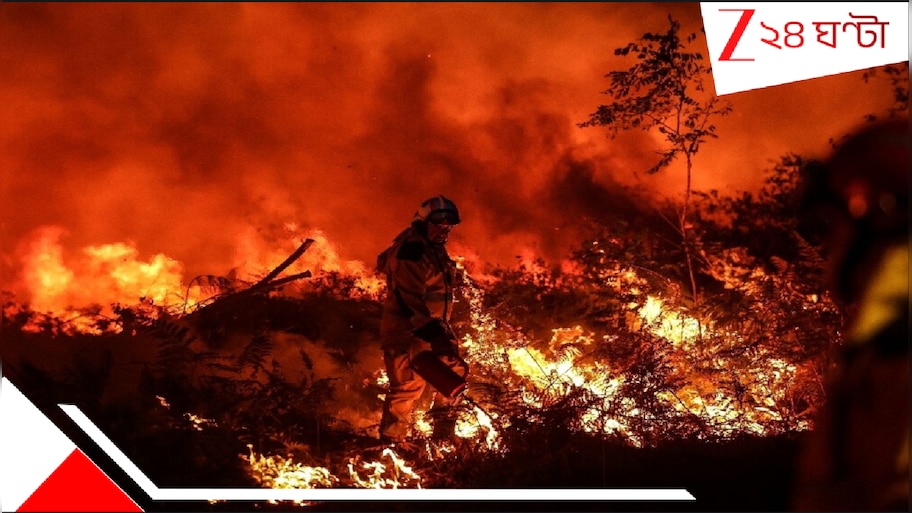 Europe's 2024 Heatwave Death: প্রাণঘাতী গ্রীষ্ম পেরিয়ে এসে দেশ এখন প্রায় ২ লাখ মানুষের মৃত্যুর সামনে দাঁড়িয়ে আতঙ্কে কাঁপছে! আর কত?