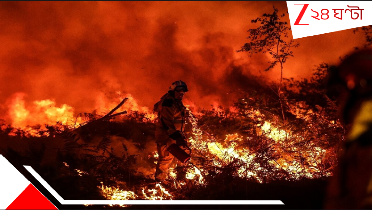 Europe's 2024 Heatwave Death: প্রাণঘাতী গ্রীষ্ম পেরিয়ে এসে দেশ এখন প্রায় ২ লাখ মানুষের মৃত্যুর সামনে দাঁড়িয়ে আতঙ্কে কাঁপছে! আর কত? Europe's 2024 Heatwave Death: প্রাণঘাতী গ্রীষ্ম পেরিয়ে এসে দেশ এখন প্রায় ২ লাখ মানুষের মৃত্যুর সামনে দাঁড়িয়ে আতঙ্কে কাঁপছে! আর কত?