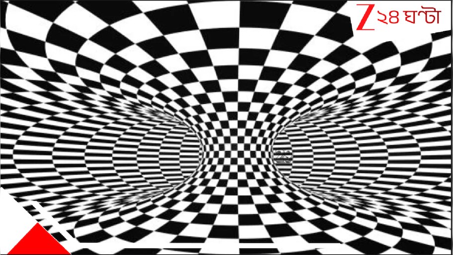 Optical Illusion Puzzles: আপনার কি স্টিফেন হকিংয়ের মতো বুদ্ধি? ১৯ সেকেন্ডের মধ্যে ২৯-কে খুঁজে ফেললেই, কেল্লা ফতে...