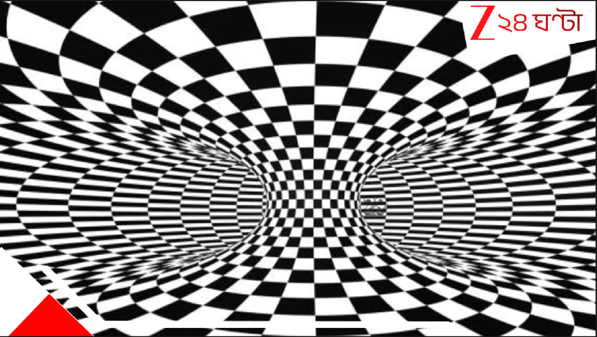 Optical Illusion Puzzles: আপনার কি স্টিফেন হকিংয়ের মতো বুদ্ধি? ১৯ সেকেন্ডের মধ্যে ২৯-কে খুঁজে ফেললেই, কেল্লা ফতে... Optical Illusion Puzzles: আপনার কি স্টিফেন হকিংয়ের মতো বুদ্ধি? ১৯ সেকেন্ডের মধ্যে ২৯-কে খুঁজে ফেললেই, কেল্লা ফতে...