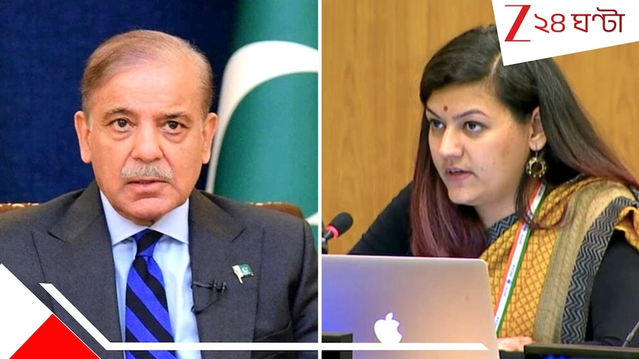 India on Shehbaz Sharif Speech: 'রানওয়ে ধ্বংস যদি বিজয় হয়, তাহলে তাই...!', সবার সামনে শাহবাজকে তুলোধোনা ভারতের মেয়ের...