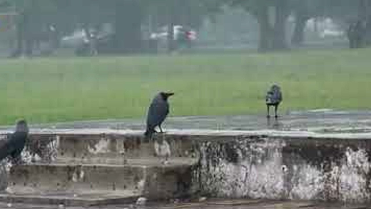 কোথায় বৃষ্টি