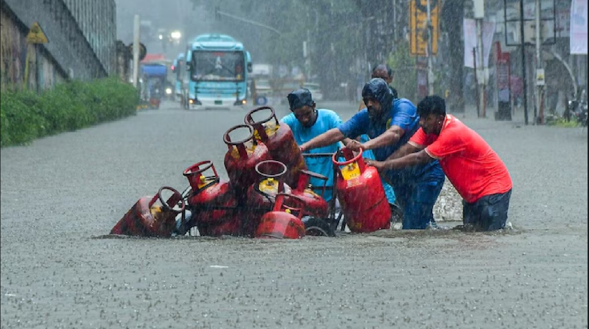 নিরাপদ আশ্রয়ে