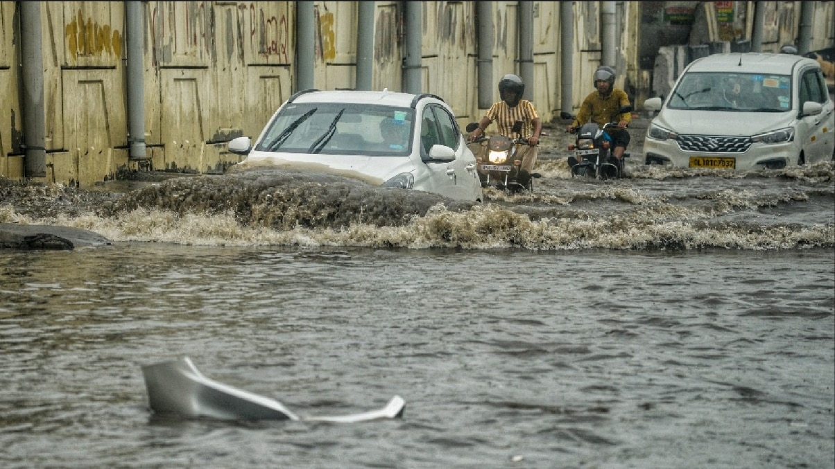 বিপুল বাজ