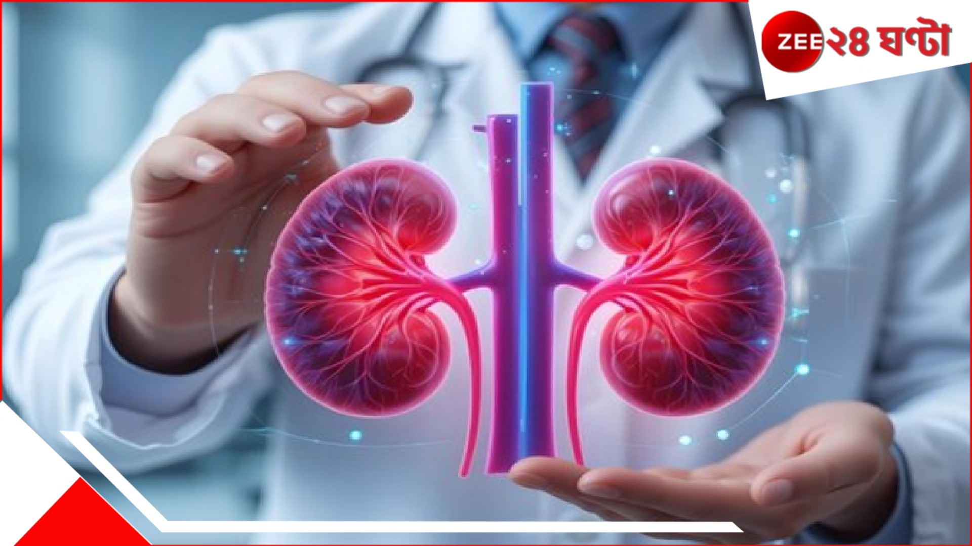 Kidney transplant breakthrough: "ও" গ্রুপের কিডনি এবার তৈরি হবে ল্যাবেই! অঙ্গ-সংকটে বড় মুক্তির পথে আমেরিকা Kidney transplant breakthrough: "ও" গ্রুপের কিডনি এবার তৈরি হবে ল্যাবেই! অঙ্গ-সংকটে বড় মুক্তির পথে আমেরিকা