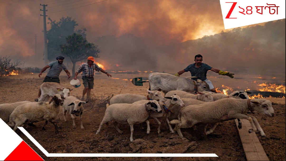 Deadly Heatwave: অক্টোবরে ৯০ ডিগ্রি? শরৎশেষে এ কী মরণ-গরম? ভয়াল তাপপ্রবাহে ভাঙছে অতীতের সব রেকর্ড, হাঁসফাঁস… Deadly Heatwave: অক্টোবরে ৯০ ডিগ্রি? শরৎশেষে এ কী মরণ-গরম? ভয়াল তাপপ্রবাহে ভাঙছে অতীতের সব রেকর্ড, হাঁসফাঁস…