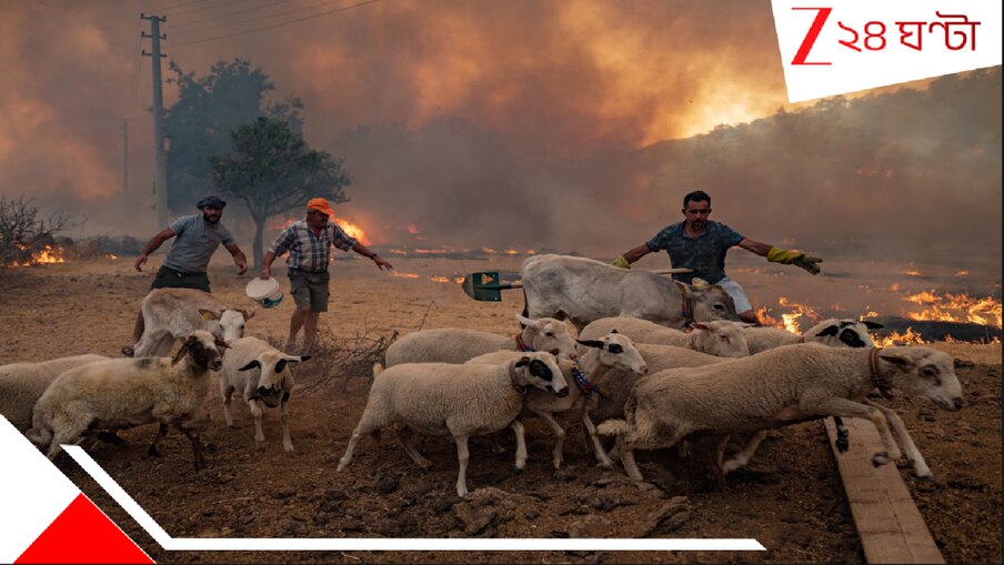 Deadly Heatwave: অক্টোবরে ৯০ ডিগ্রি? শরৎশেষে এ কী মরণ-গরম? ভয়াল তাপপ্রবাহে ভাঙছে অতীতের সব রেকর্ড, হাঁসফাঁস...