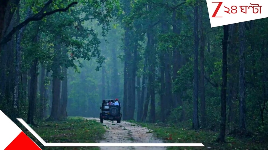 Hooghly: কানহার জঙ্গলে অ্যাডভেঞ্চারের খোঁজে গিয়ে ফিরছেন লাশ হয়ে, ভয়াবহ দুর্ঘটনায় সন্তান-সহ তিন শিক্ষিকা... হুগলিতে হাহাকার...